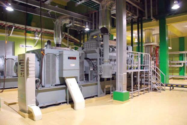 Cogeneration Facility 